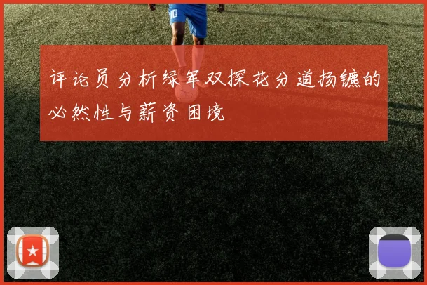 评论员分析绿军双探花分道扬镳的必然性与薪资困境